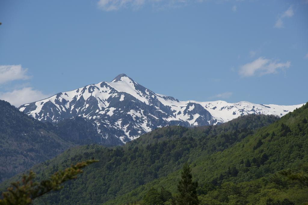 Nakamurakan Τακαγιάμα Εξωτερικό φωτογραφία